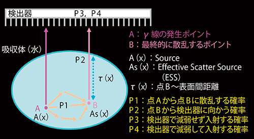 図2　ESSE法で用いられている散乱線モデル