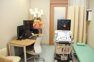 診察室 電子カルテシステムは本院と同一システムを使用。エコー室だけでなく，診察室にも超音波診断装置を設置（写真はVivid E9：GE社製）