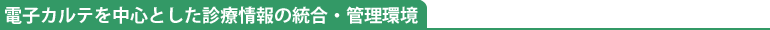 電子カルテを中心とした診療情報の統合・管理環境