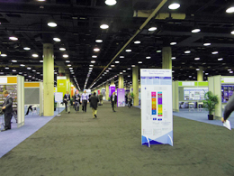 RSNA 2012 tHgM[